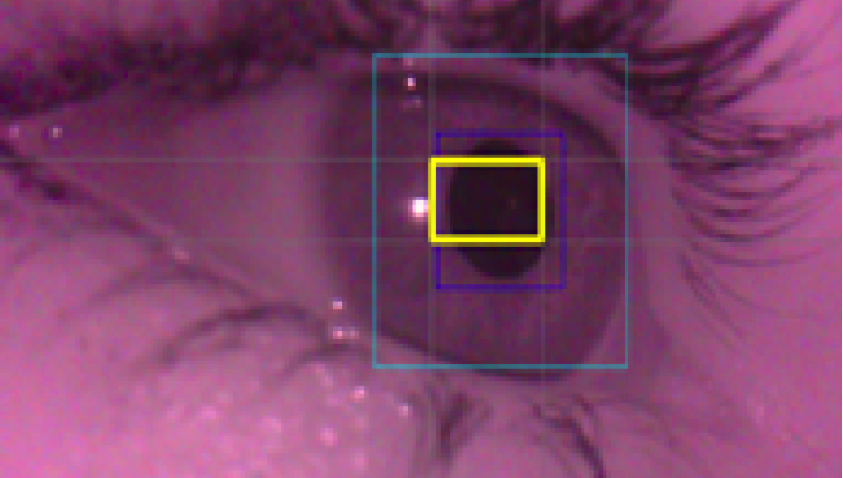 Eye and Hand Tracking Trends