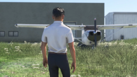 Virtual Microsoft Flight Simulator Career
