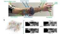 Muscle Signals Replace VR Camera Tracking