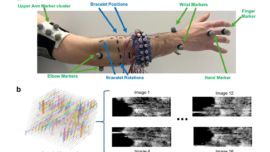 Muscle Signals Replace VR Camera Tracking