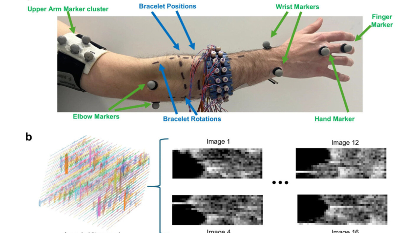 Muscle Signals Replace VR Camera Tracking